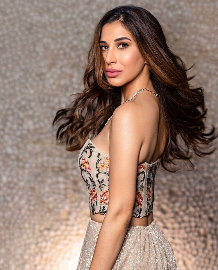 Sophie Choudry Income.jpg